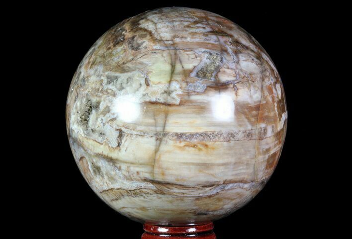 Colorful Petrified Wood Sphere - Madagascar #71405